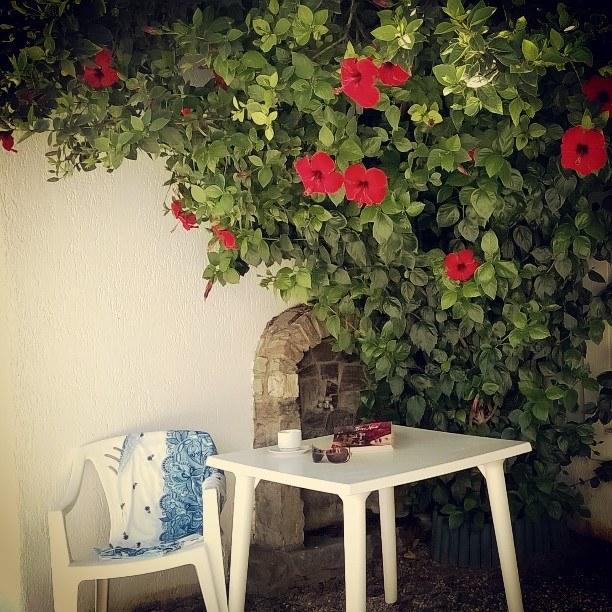 Appartamento Archontiko Mary 1 Alikí Esterno foto